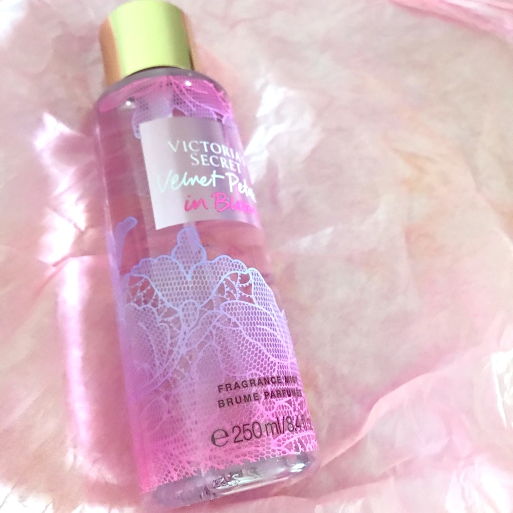 Velvet Petals In Bloom